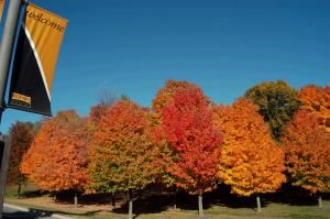 St. Olaf College