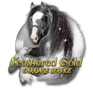 Feathered Gold Carriage Service