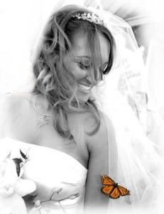 Palm Beach Wedding Photography, Inc.