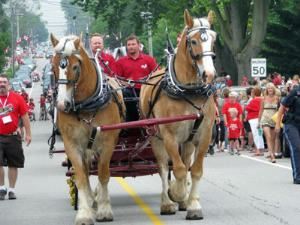 Humes Horse Drawn Carriage Rides