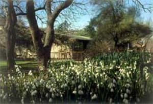 Botanic Gardens at University of California
