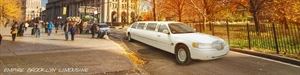 Empire Brooklyn Limousine, Inc.