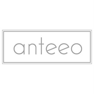 Anteeo Events