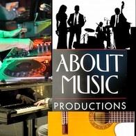 About Music Pro: DJ s, Musicians & Bands