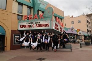 Springs Sounds Entertainment