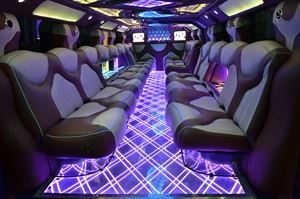 VIP Limousine, Inc.