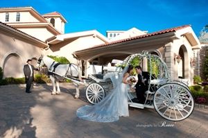 Dream Horse Carriage Company