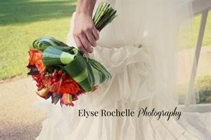 Elyse Rochelle Photography