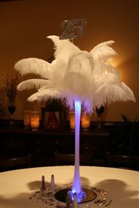 ShatataEvents Ostrich Feathers Rental
