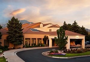 Courtyard Boulder