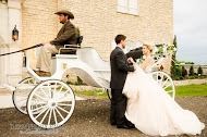 Eagle Eye Ranch Carriage Company - Fort Worth