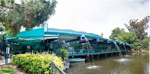 Anthony's Fish Grotto