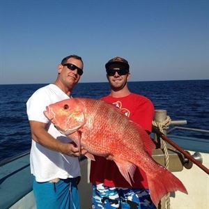 Drop Down Sport Fish Charters