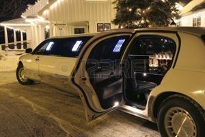 Top Cat Limo