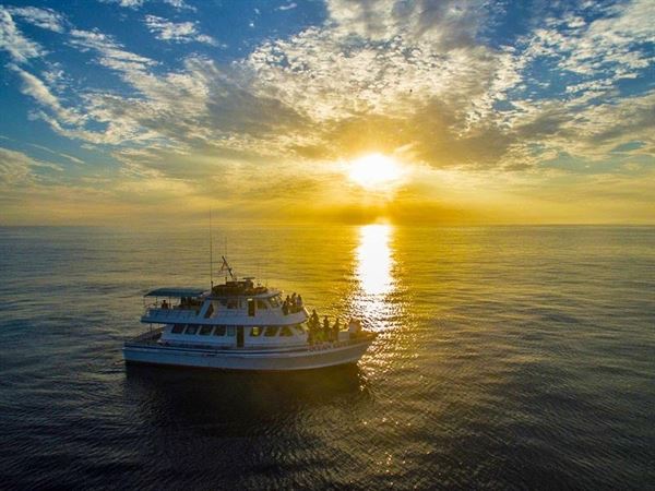 Cruise Newport Beach Yacht Rentals Cruises Newport Beach Ca