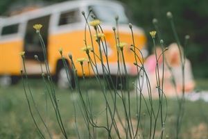 77 VW Photo Booth Bus