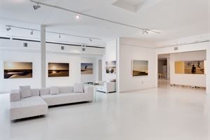 Macaya Gallery