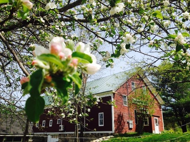 Celebration Barn Theater South Paris Me Party Venue