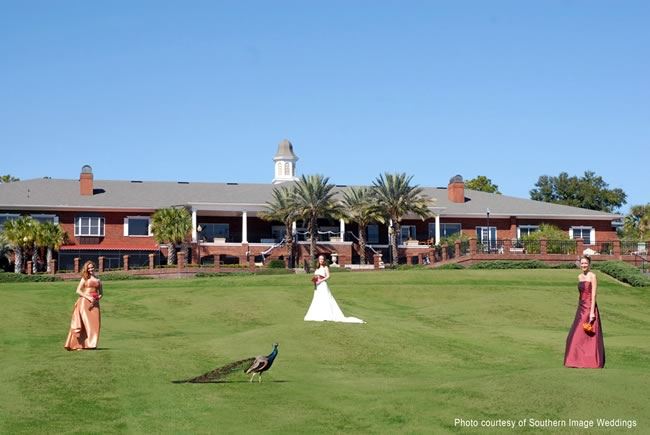 Harbor Hills Country Club Lady Lake Fl Wedding Venue