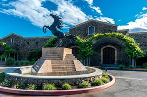 Black Stallion Winery