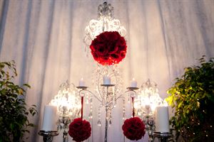 Affordable Party Planning -  PARTY DECORATORS