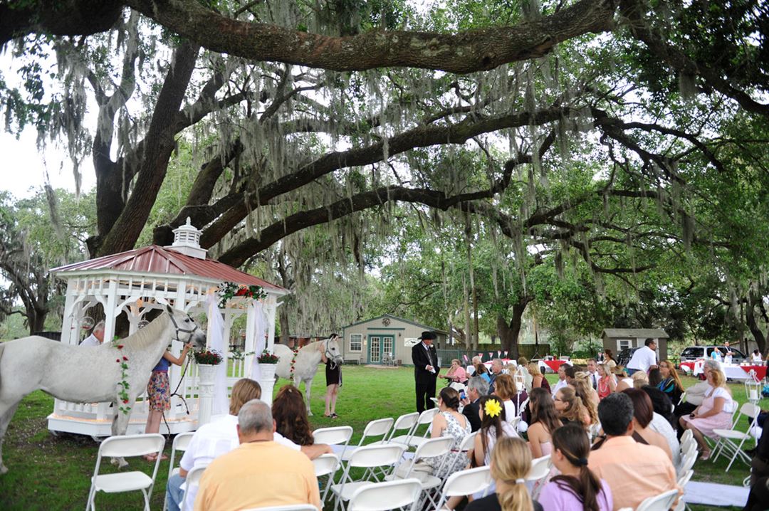 Painted Oaks Academy Orlando FL Wedding Venue   1970146 Lg 