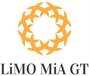 Limo Mia Ground Transportation