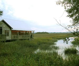 Salt Water Cowboys Restaurant