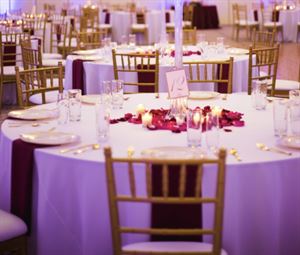 A&R Chiavari Chairs