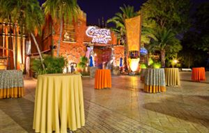 Busch Gardens Tampa Bay Tampa Fl Party Venue