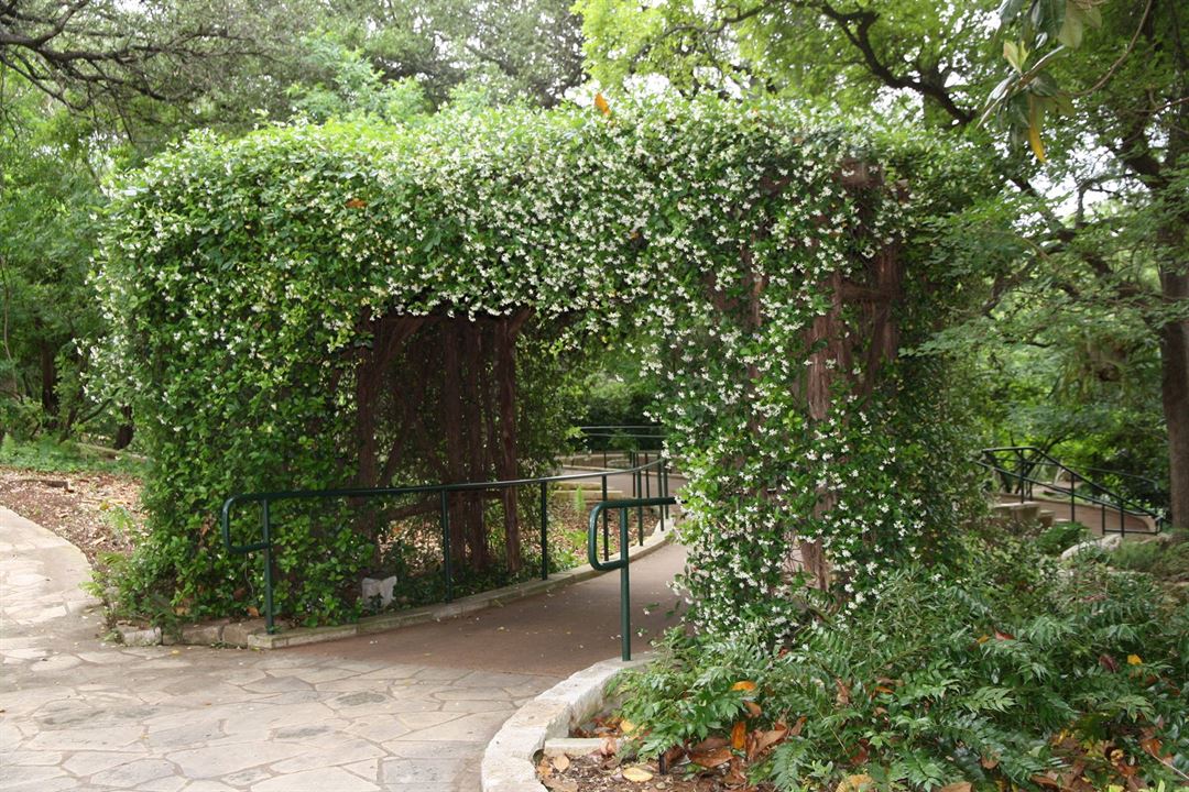 Zilker Botanical Garden Austin Tx Wedding Venue