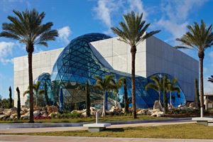 The Dali Museum