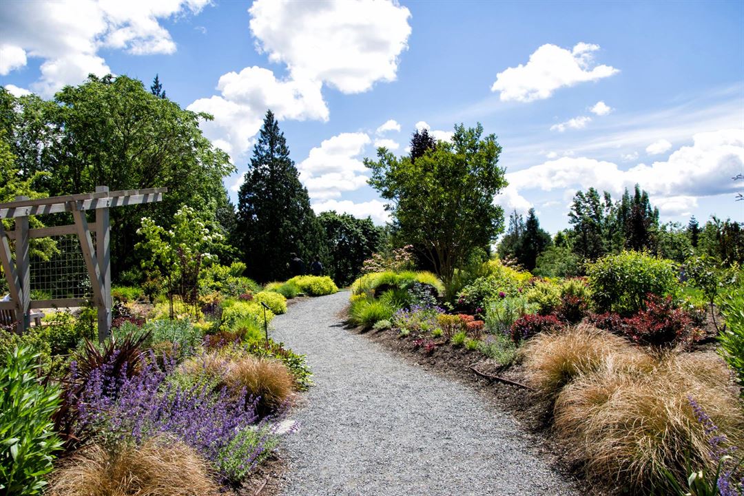 Bellevue Botanical Garden - Bellevue, WA - Meeting Venue