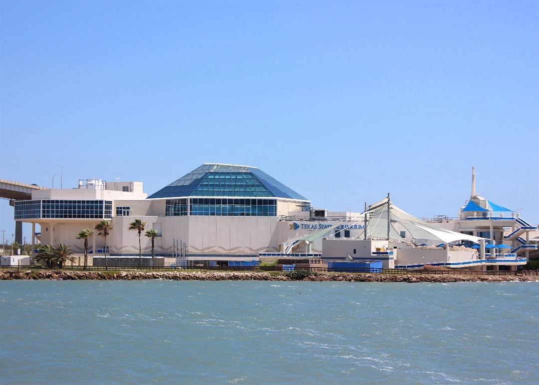 Texas State Aquarium Corpus Christi, TX Party Venue