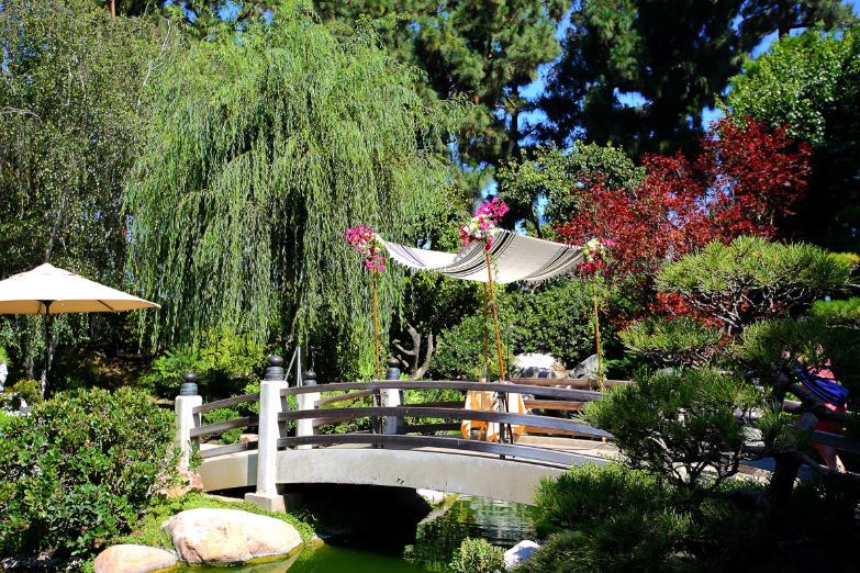 The Earl Burns Miller Japanese Garden - Long Beach Ca - Wedding Venue