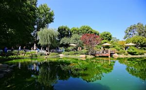 The Earl Burns Miller Japanese Garden