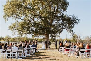 Belle Meadows Farm