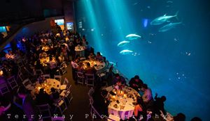 Monterey Bay Aquarium