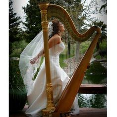 Lisa Fenwick Harpist