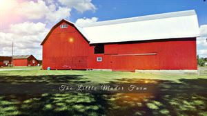 The Little Mader Farm
