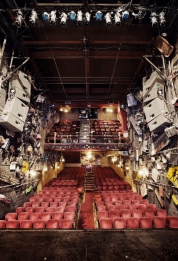 Orpheum Theatre Seating Chart New York City