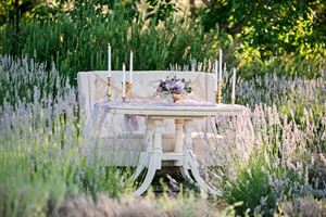 Cache Creek Lavender Farm