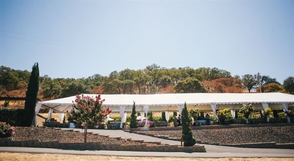 vezer family vineyard wedding