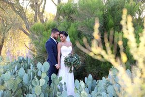 Palm Valley by Wedgewood Weddings