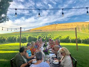 Badger Mountain Vineyard