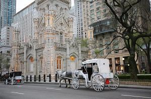 Chicago Horse & Carriage LTD