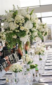 Blooms Event Company