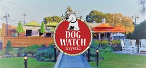 Dog Watch Mystic