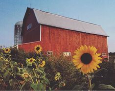 Tanner Creek Farm