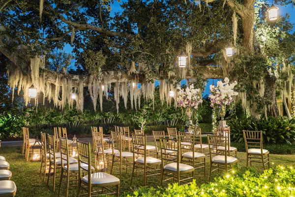 Top Plantation Wedding Venues Louisiana  Learn more here 